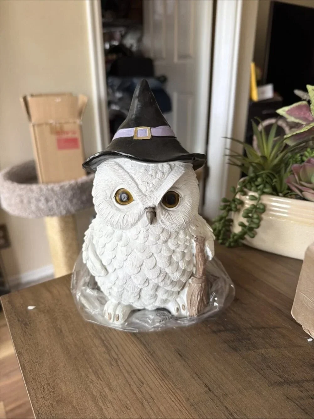 TOIL AND TROUBLE 9in Resin Witch Owl Statue - NIB